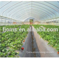 Uv Resistant Clear Plastic Greenhouse Film for Strawberry